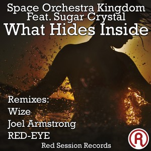 Space Orchestra Kingdom - What Hides Inside Space Orchestra Kingdom - What Hides Inside
