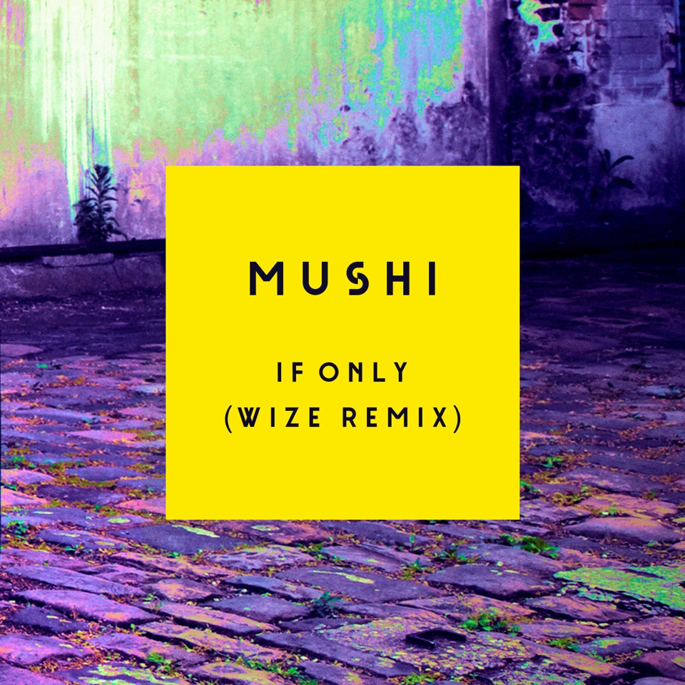 Mushi - If Only (Wize Remix)